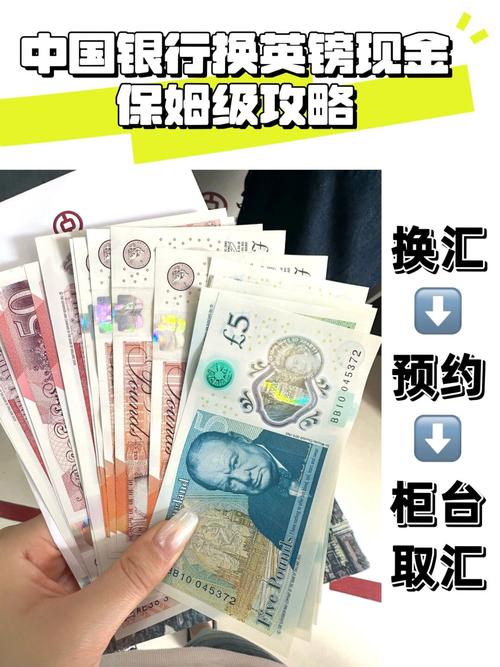 中国银行跨境人民币结算业务_中国银行可以兑换的外币_中国银行外币兑换优势