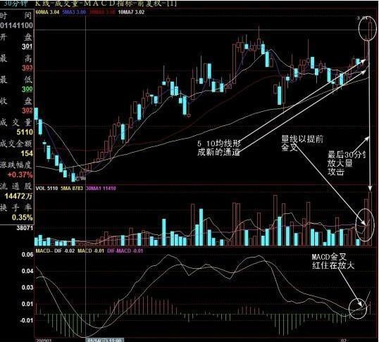 股票全仓半仓三分之一仓是什么_股票投资心理误差_尾盘选股技巧