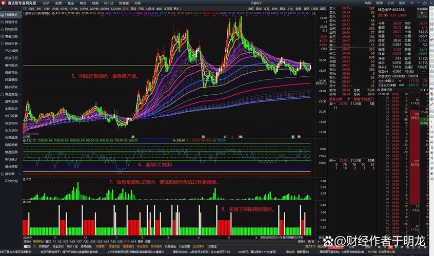 通达信软件完全加密安全保护破解探究：技术、法律与道德考量