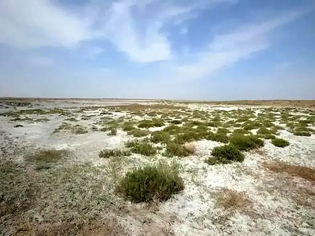 古代农民生存策略_荒地开荒成本_中国古代农民对市场交易的参与