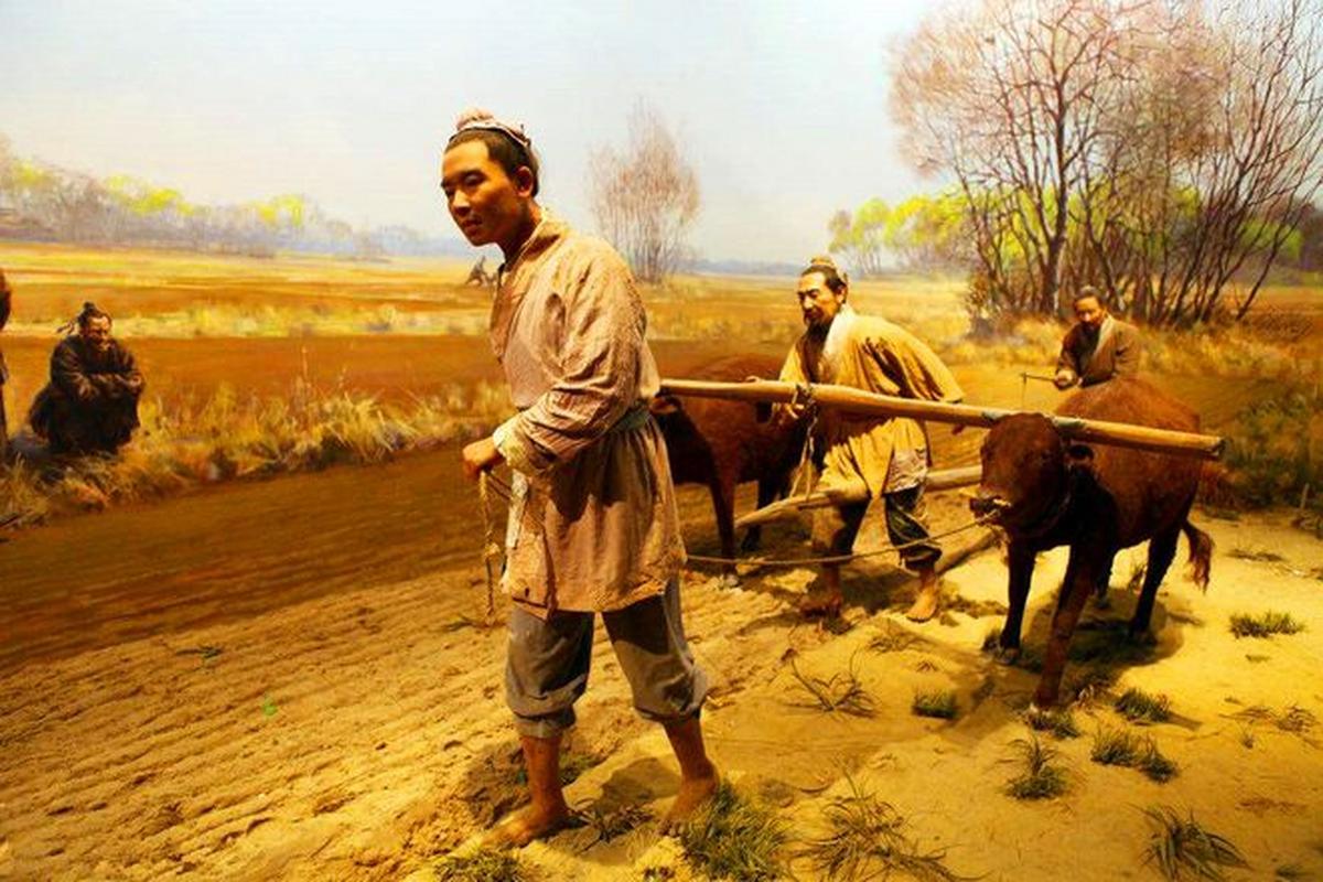 中国古代农民对市场交易的参与_古代农民生存策略_荒地开荒成本