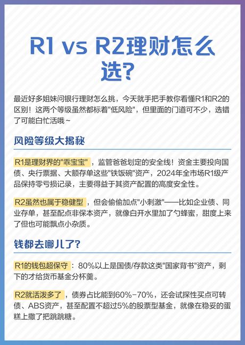R1与R2基金风险等级揭秘！谁更适合你？量身定制投资组合助收益最大化