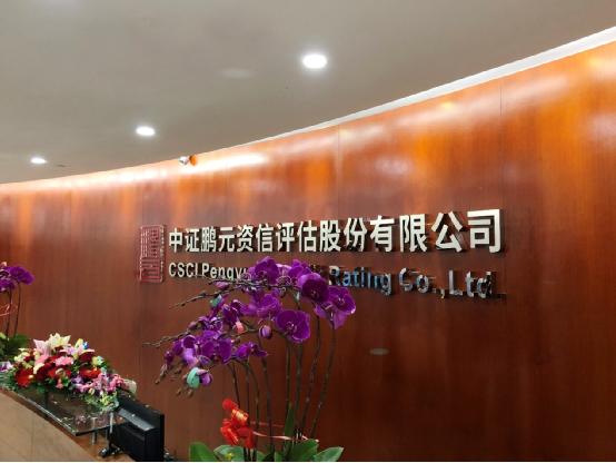 鹏元资信评估怎么样？股份制改造后业务范围有何变化？