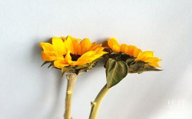 货到付款拒收运费谁承担？有理由与无理由情况大不同