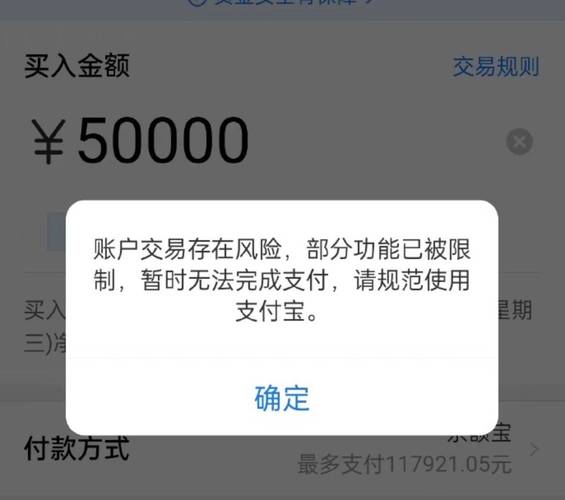 支付宝钱包系统崩溃引发网上账户资金安全质疑
