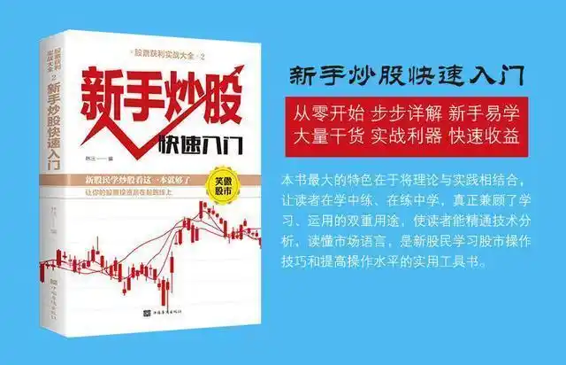 炒股怎么赚钱_股票投机过程_股票市场交易对手