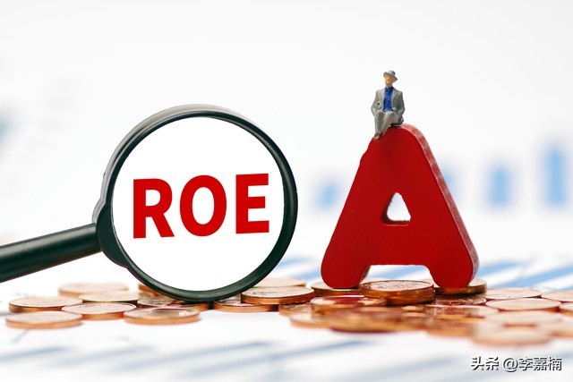杠杆公司_杜邦分析法 权益乘数计算公式 杠杆风险与投资策略